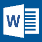  MS Word